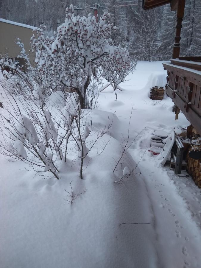 Michls Hoamat am Fuße der stillen Seite des Ötztals Sölden Exterior foto