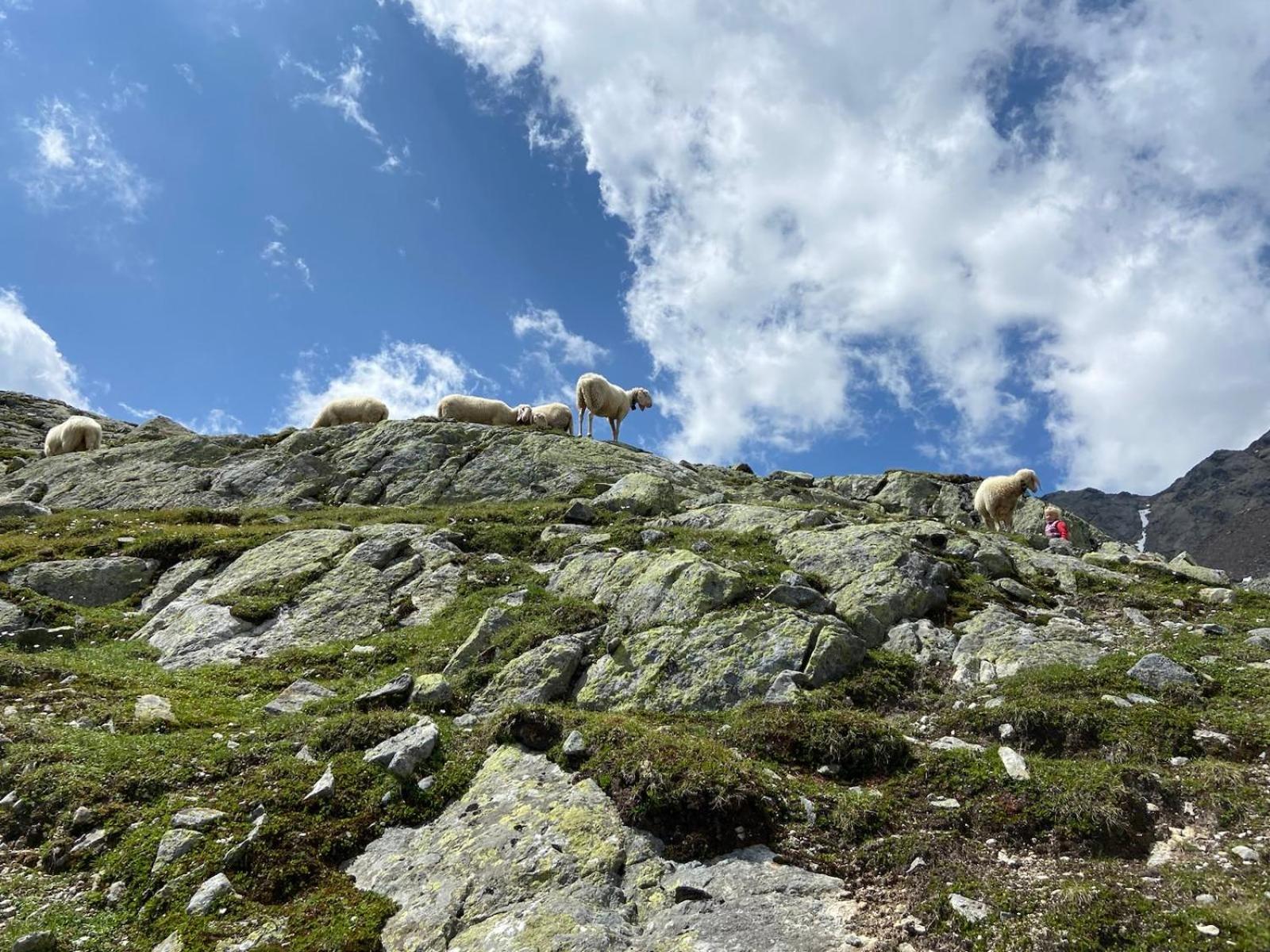 Michls Hoamat am Fuße der stillen Seite des Ötztals Sölden Exterior foto
