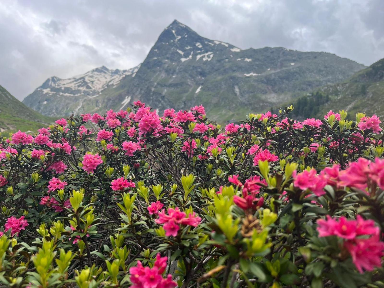 Michls Hoamat am Fuße der stillen Seite des Ötztals Sölden Exterior foto