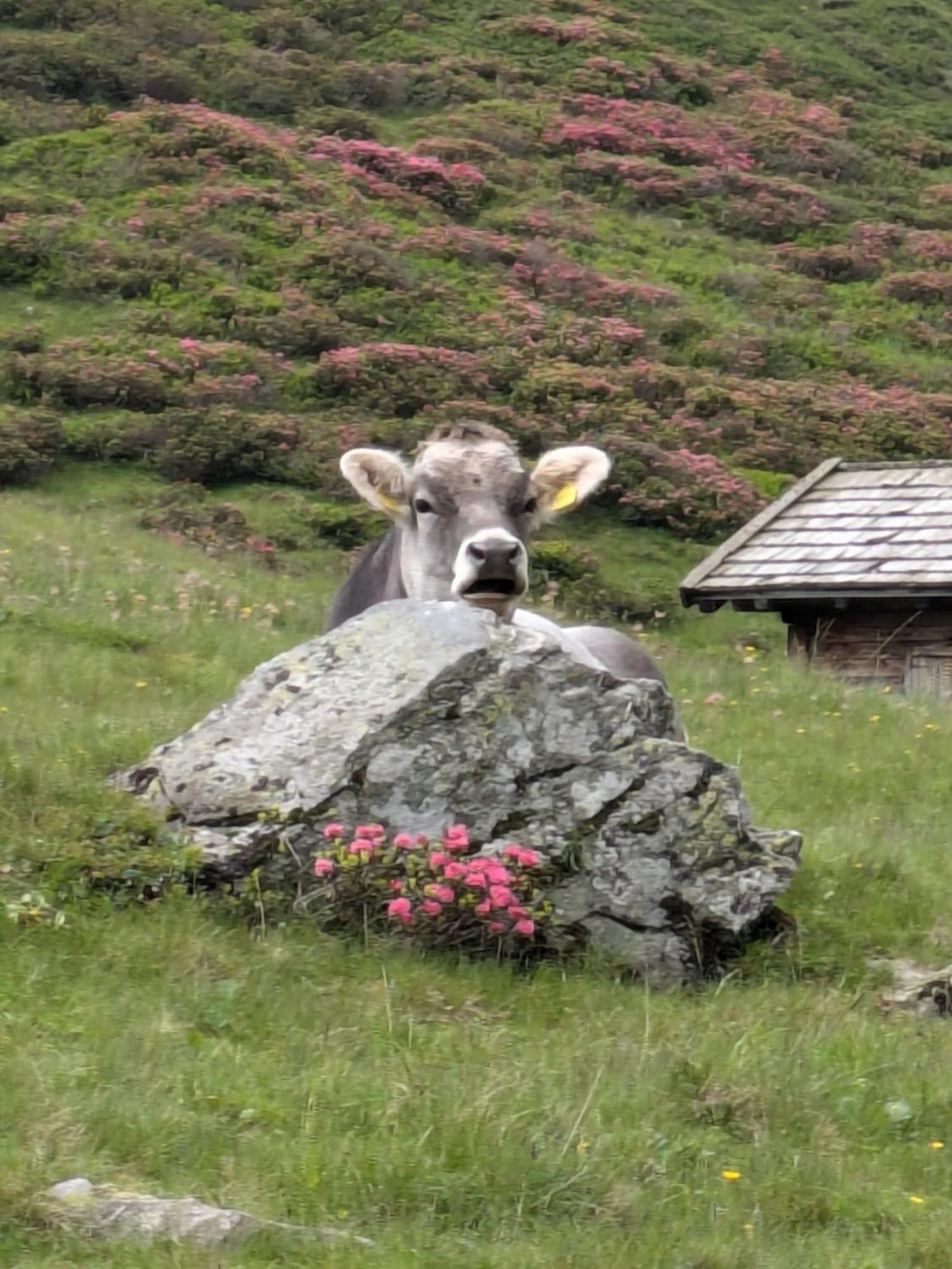 Michls Hoamat am Fuße der stillen Seite des Ötztals Sölden Exterior foto